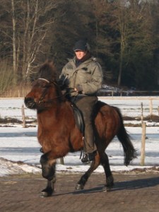 5 ganger,met natuurtölt