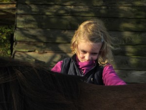 schimmels en HK kids najaar 2014 002