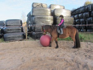 schimmels en HK kids najaar 2014 007