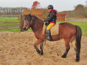 schimmels en HK kids van Rob 008