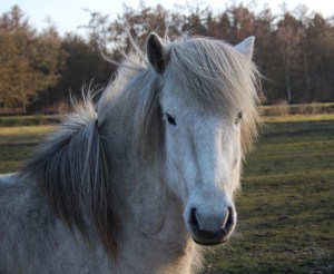 wim-peter-en-rob-055