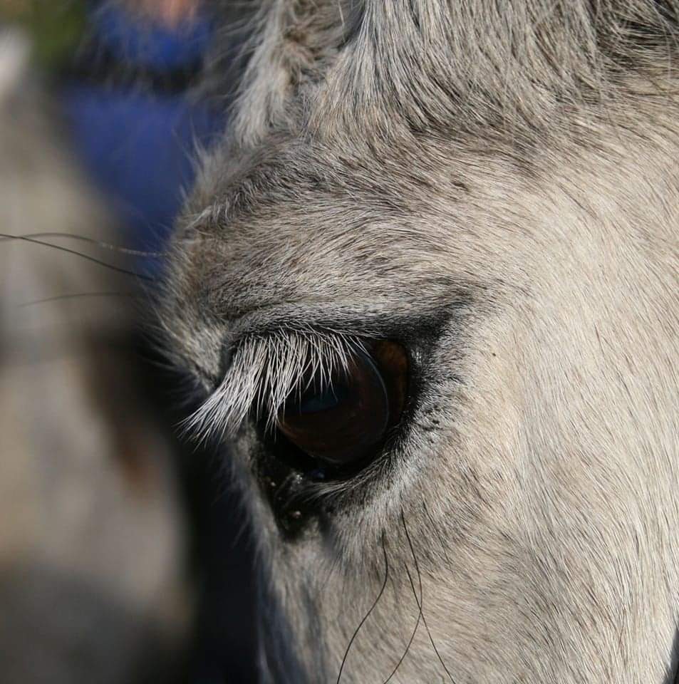 fb_img_1703014367804