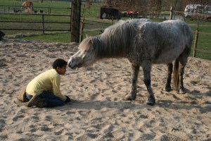 HK met Miguel voor IJP 027