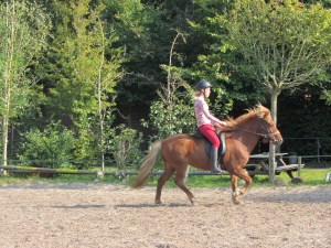 Sunna,tölt ook, als je niet ervaren bent.