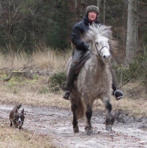 Met Hrim en Frodo in Drenthe, genieten
