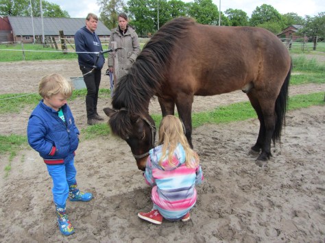Digur maakt kennis met zijn nieuwe baasjes