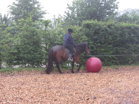 De pushbal maar weer eens opgepompt.