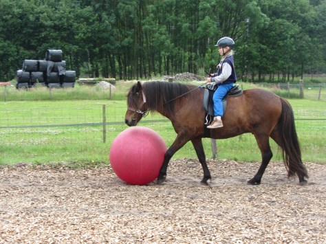Concentreren,sturen,drijven,contact,aanmoedigen,inzicht.