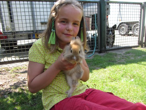 Jonge konijntjes , ook leuk.