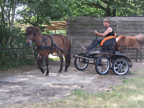 Nieuwe marathonwagen