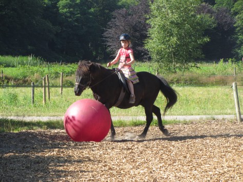 Good old Reginn, hij kan het nog steeds.