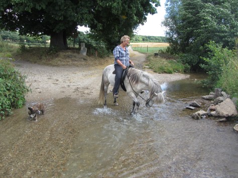 laatste vakantiefoto Limburg