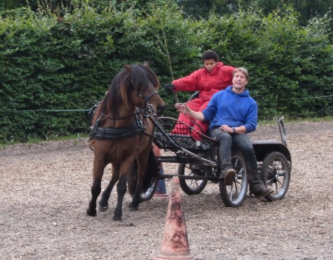 Menles, Miguel in actie met Andvari