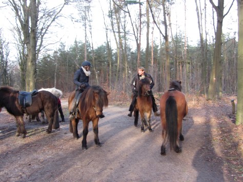 Mooi weer tijdens de Nieuwjaarsrit 2014
