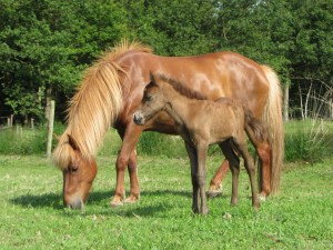 Sólon 1ste week 029