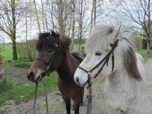 Hrim en Sola Drenthe 004