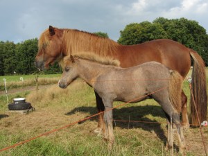 Sólon en Grima 31 aug 14 042