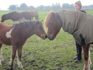 Grima terug solon in de groep 059