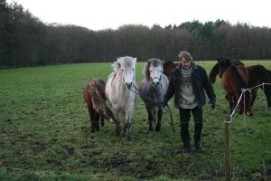 ONZE SCHIMMELS DOOR MISCHA 010