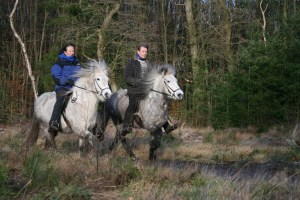 ONZE SCHIMMELS DOOR MISCHA 108