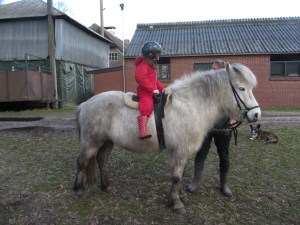 eind febr 2015 Tirzah 006