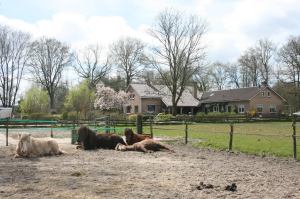 Solon met opa en oma