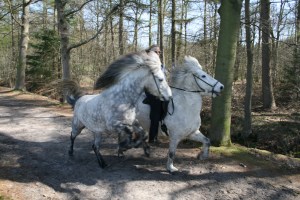 Solon,Hrim,Rúna mrt 2015 097