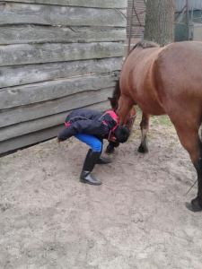 alex hoevenkrabben 1