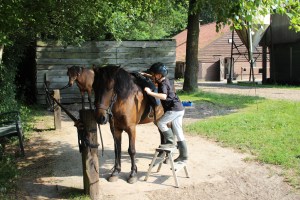 Dit is de 4de lees,die deze jongen bij mij heeft en hij heeft nog nooit eerder op een paard gezeten.Wat super goed van hem,terecht iets om trots op te zijn. Hij vindt het gewoon heel erg leuk en dan kun je meer dan je vaak denkt.Gewoon doen.